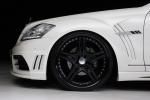 Mercedes-Benz S-Class Black Bison Edition by Wald 2010 года